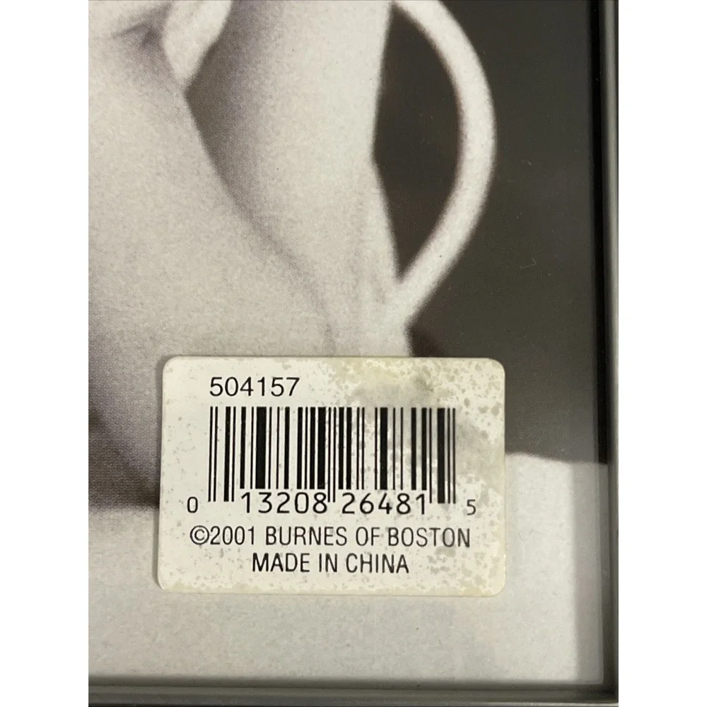 Burnes of Boston 5x7 Picture Frame Brushed Silver Pewter Look Floral Embossed